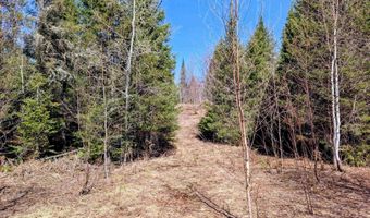 8 Acres E Cable Lake Rd, Amasa, MI 49903