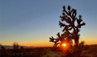 606 D S Billy The Kid Rd, Yucca, AZ 86438