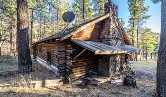 28 COUNTY RD. N2175 HULSEY LAKE RD., Alpine, AZ 85920