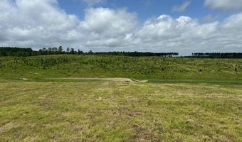0 Otis Paine Rd, Bethel Springs, TN 38315