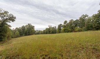 2421 Morrison Loop, Anderson, MO 64831