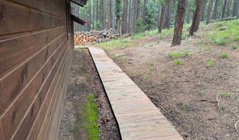 19 Black Lake Ter, Angel Fire, NM 87710