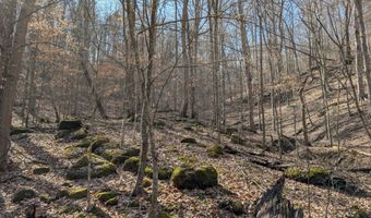 9999 Tip Top Rd, Beattyville, KY 41311