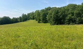 2358 White Tree Hill Rd, Ballard, WV 24918
