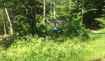 72-1 Frohock Brook Rd, Alton, NH 03810