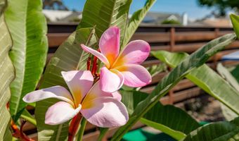 127 Warner St, Oceanside, CA 92058