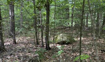 00 Simonsville Rd Lot 3, Andover, VT 05143