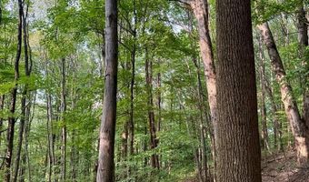 Conover Ln, Atkins, VA 24311