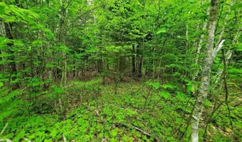 77 S Princeton Rd, Alexander, ME 04694