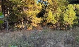 421041 E 1945 Ln, Antlers, OK 74523