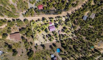 414 Upper Travis Gulch Rd, Black Hawk, CO 80422