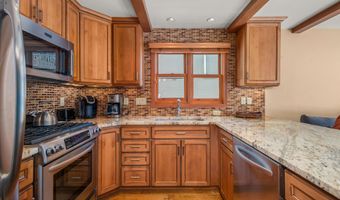 825 E Hopkins Ave 2S, Aspen, CO 81611