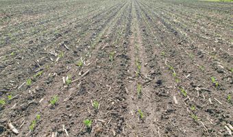 Amboy Road, Amboy, IL 61310