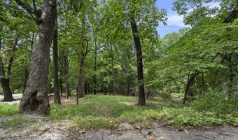 Tbd Pheasant Circle, Afton, OK 74331