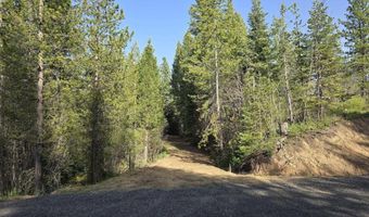 23 Sawtooth Loop, Cascade, ID 83611