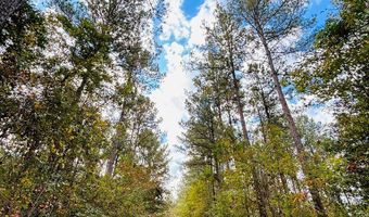 644 Ash-Harrel Loop, Abbeville, GA 31001