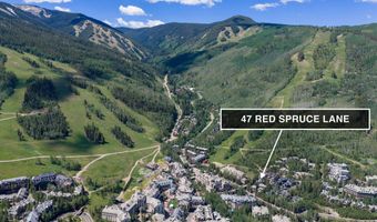 47 Red Spruce Ln 4, Avon, CO 81620