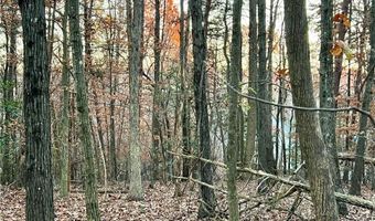 0 Pebble Creek Ln, Alto, GA 30510