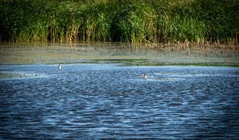 28146 382nd Ave, Armour, SD 57313