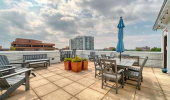 1023 N ROYAL St 204, Alexandria, VA 22314