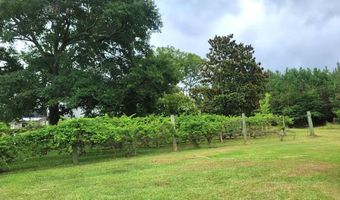 1110 Puckett Town Rd, Bradley, SC 29819