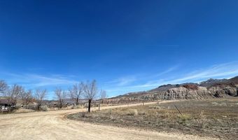 699 Stephens Rd, Challis, ID 83226