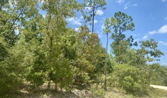 Lot 13 Noble Circle, Alford, FL 32420