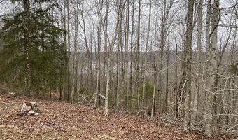 13 31 AC Austin Ridge Rd, Baxter, TN 38544
