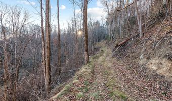 NC 209 Highway, Aurora, NC 28743