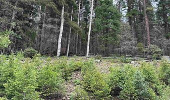 Lot 141 Back Basin Rd, Angel Fire, NM 87710