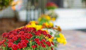 918 Fifth Ave, Albany, GA 31701