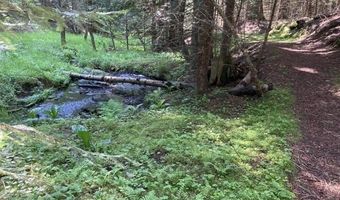 1029 Sun Valley Dr, Careywood, ID 83809