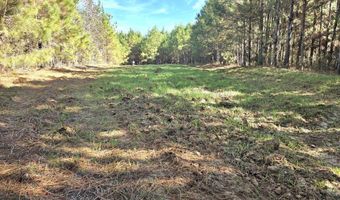 1228 River Rd, Ariton, AL 36311