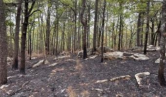 TBD Kiamichi Wilderness, Antlers, OK 74523