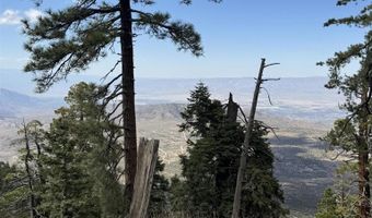 636 Mountain Center 35-0002, Mountain Center, CA 92561