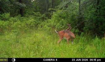 East Highway 3, Atoka, OK 74525