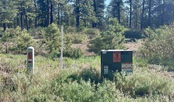 782 Hawks Meadow Dr, Bayfield, CO 81122