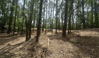 Ridge Road lot E, Appling, GA 30802