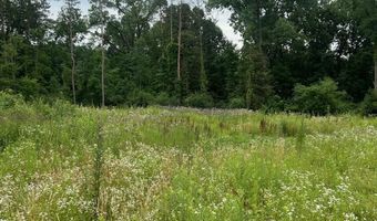 6130 Thornapple River Dr SE, Alto, MI 49302