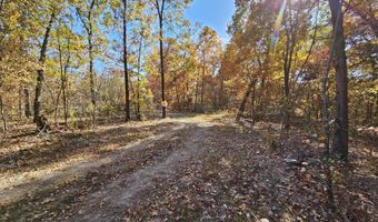 Tract 5 Coble Lane, Anderson, MO 64831