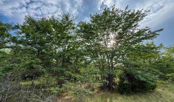 Tract 5 Highway 70, Bennington, OK 74723