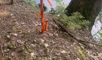 Tbd Spruce Drive, Anson, ME 04911