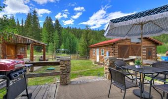 2585 COUNTY ROAD 12, Alma, CO 80420