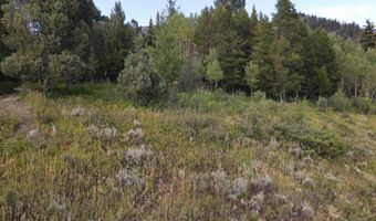 PINE Street lot 4, Alpine, WY 83128