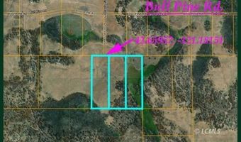 Bull Pine, Beatty, OR 97621