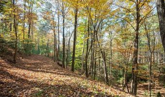 4149 NE Suiter Rd, Bastian, VA 24314