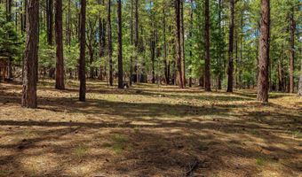 2 County Road 2081, Alpine, AZ 85920