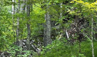 Tbd Wakeman Way, Banner Elk, NC 28604