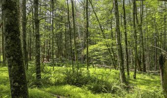 154 Lang Rd, Accord, NY 12404