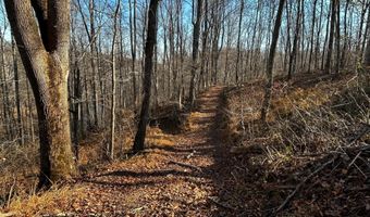 436 HINSONS FORD Rd, Amissville, VA 20106